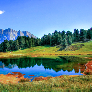 八十岁老妇做爱片
